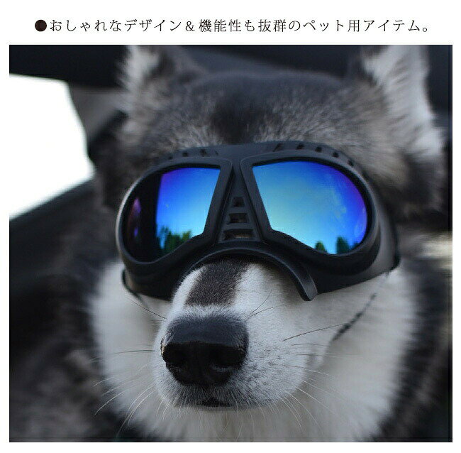 HPY商城の【新品発売期間限定特価】犬用ゴーグル ドッグゴーグル 犬用サングラス 紫外線対策 車酔い対策 UVカット くもり止めレンズ 高い光透過率 ペットゴーグル ペット用品 カー用品 お散歩グッツ 愛犬 メガネ 防風 防塵 お出かけ用 花粉 ホコリ 防止｜アングル3