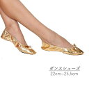 【レビュー特典 20%OFF】【時間限定ポイント10倍!送料無料】ベリーダンス シューズ ベリーダンスシューズ ステージシューズ シューズケース付き コンパクト...