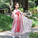【レビュー特典 20%OFF】子供服 女の子 ワンピース 長袖 漢服 仮装 ドレス 花柄 刺繍 可愛い 中華風 コスプレ お姫様 中華服 コスチューム ハロウイン 舞台衣装 文化祭 発表会 日常着 中国古典美人 キッズ ジュニア 子ども ロングドレス 写真撮影 誕生日 プレゼント