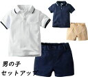 【レビュー特典 20%OFF】子供服 男の子 カジュアルパンツセット キッズ 半袖シャツ ショートパンツ 短パン ハーフパンツ セットアップ 小学生 ポロシャツ 演奏会 発表会 卒業式 入学式 合唱団 団体服 夏服 コットン 2点 80cm 90cm 100cm 110cm 120cm 130cm 140cm