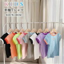 【レビュー特典 20%OFF】子供服 半袖Tシャツ Tシャツ 女の子 男の子 ベビー服 キッズ トップス クルーネック カラフル プリント キャラクター 動物 全8色 柔らかい カジュアル 可愛い おしゃれ 韓国 運動会 通園 夏 夏用 夏物 夏服 新作