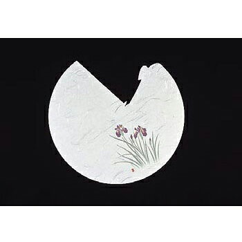 料理ぼうし RB-06 (100枚入) 四季 あやめ 遊膳●100枚入●φ180～125●あやめ(5～6月)●遠赤外線抗菌和紙(特許)●大きさは器に応じて6段階にサイズが調節できます。●用途:天ぷら、刺身等の保温、乾燥防止、煮物椀のフタ、お料理の演出等にご利用下さい。※メーカー希望小売価格はメーカーカタログに基づいて掲載しています。(カタログ表示価格は消費税が含まれていません)