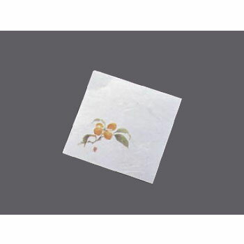 ニュー 四季懐紙 びわ NS-22 4寸 （100枚入）