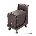 カムドーリーハンドル付 CD100H (131) D / B キャンブロ