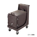 カムドーリーハンドル付 CD100H (157) C / B キャンブロ