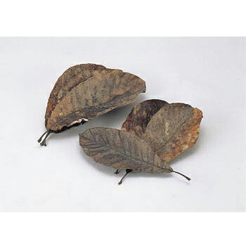 朴葉 290～360mm(100枚入) (24394)●100枚入●290～360mm●※自然の朴葉を焼物皿として使用して下さい。●天然物につきサイズが異なる場合がございます。※メーカー希望小売価格はメーカーカタログに基づいて掲載しています。(カタログ表示価格は消費税が含まれていません)