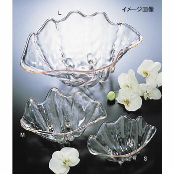 シャコ貝 M クリア プラスチック