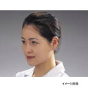 ヘアーネット Lサイズ T20664 (100枚入)