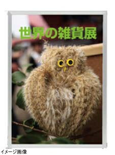 アルミフレーム ハメパネ（シルバー） B2 53721B2S