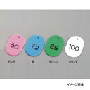 番号札 大(1〜50)11811 ホワイト(50個セット)
