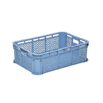 ����ƥʡ� B#42 BL PE�� ���󥳡�