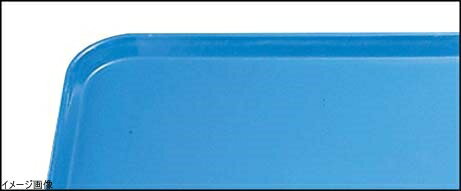 ֥ ȥ쥤 1520105˥ۥ꥾֥롼