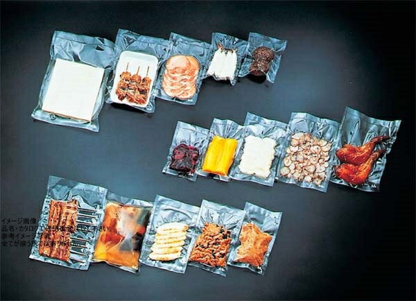 卓上真空包装機専用規格袋 飛竜(2000入)HN-102