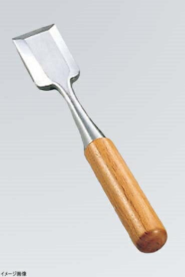 和食用 氷ノミ 平 24×240