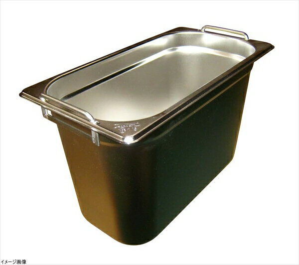 EBM ガストロノームパン Wハンドル 1/3 H200mm