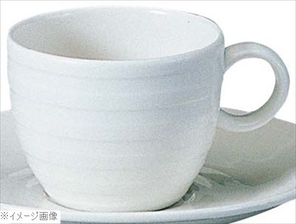 ●縁欠け,衝撃に強く、高い耐久性を追及して開発された軽くて強いボディーは、業務用での最適なパフォーマンスを十分に発揮。さらに電子レンジ、食器洗浄機で安心して使用できる素材です。※メーカー希望小売価格はメーカーカタログに基づいて掲載しています...