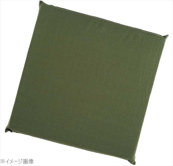 Other - ウレタン座布団 EXU7050 利休