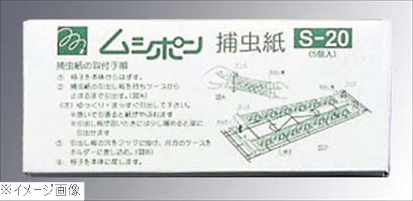 �����ॷ�ݥ����� ����� S��20��5������