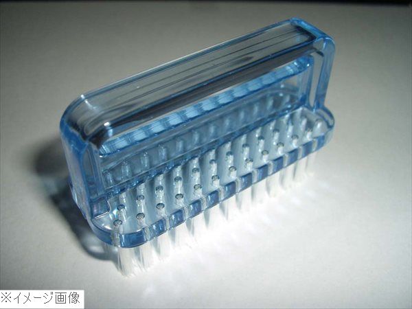 PP 爪ブラシ No.250 ブルー