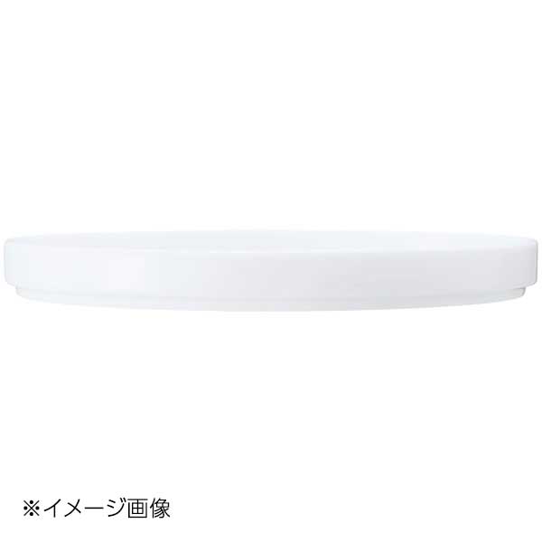 N4 TypeII 22.5cm プレート マットブルーグレー 1754T/11505