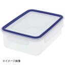 保存容器 イージーケア 2.0L A-2175BN(3)