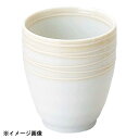 花伝 あかり リップル湯呑 53005067
