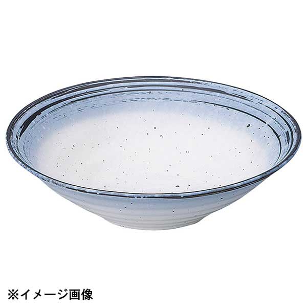 花伝 なごり雪 リップル4.5鉢 53128057