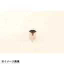 たかもり たかもりの生抜 銀杏 大 #3 077143