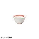 光洋陶器 KOYO 美紅 反煎茶 12214059 1