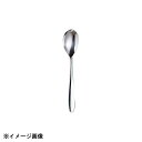 光洋陶器 KOYO サントノーレ ラージティースプーン C1600014(3)