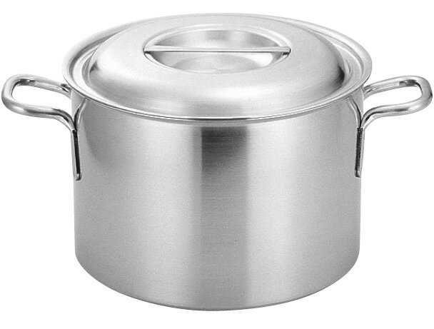 プロデンジ 半寸胴鍋 21cm 43721(3)