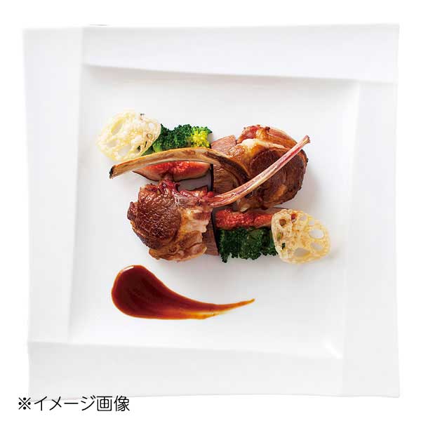 Rakuten - 桐井陶器 モデルノ MODERNO Isora 27cmスクエアプレート 138-01