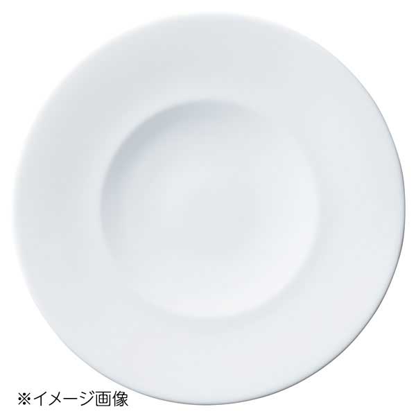 Rakuten - 桐井陶器 モデルノ MODERNO C2 21cmプレート ファリナ 8577-10