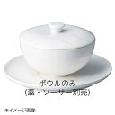 桐井陶器 モデルノ MODERNO カラーラ 10cmマルチボウル CBR ボウルのみ CA013-AH