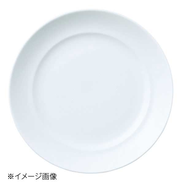 桐井陶器 モデルノ MODERNO Spa:ta(スパータ) 9.5"ミート皿 61-04