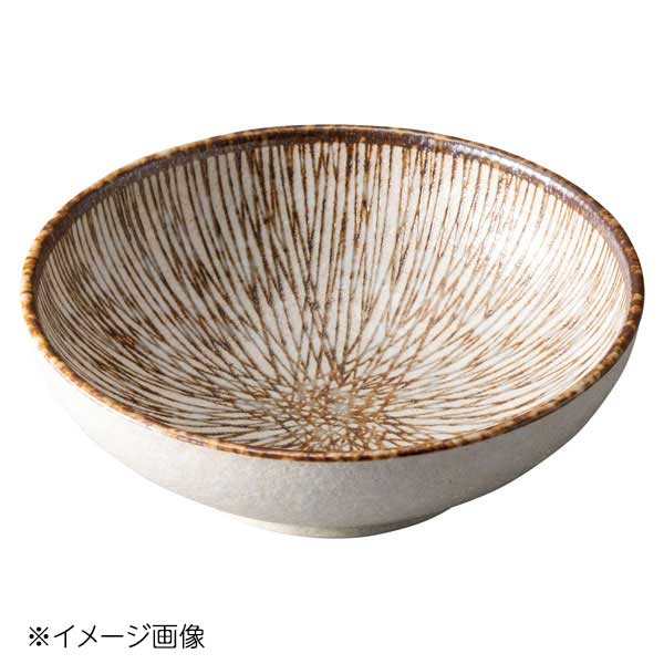 Rakuten - 桐井陶器 モデルノ MODERNO さび乱十草 15.5cm鉢 855-2204