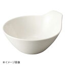 桐井陶器 モデルノ MODERNO エムディーカフェ MD cafe マルチボウル(とんすい) 9450-31