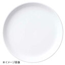 桐井陶器 モデルノ MODERNO 天安 17cm丸皿 17400007