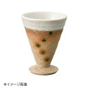 桐井陶器 モデルノ MODERNO 水玉 食前酒 96-66C