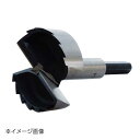 新潟精機 SK フォスナービット φ54 FB-54