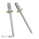 新潟精機 SK カラーブラインドリベット (5-3) 20本入 SK-529BG