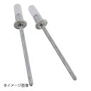 新潟精機 SK ブラインドリベット CPタイプ 541 DAS541CP