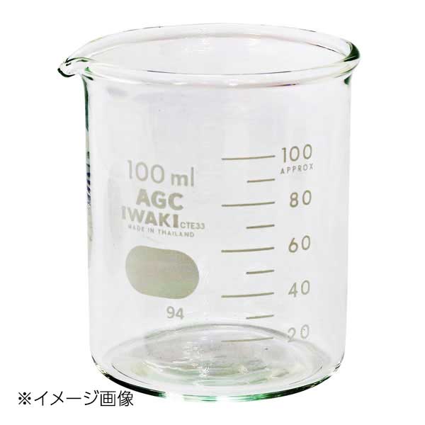 新潟精機 BeHAUS 硝子ビーカ 100ml GB-100