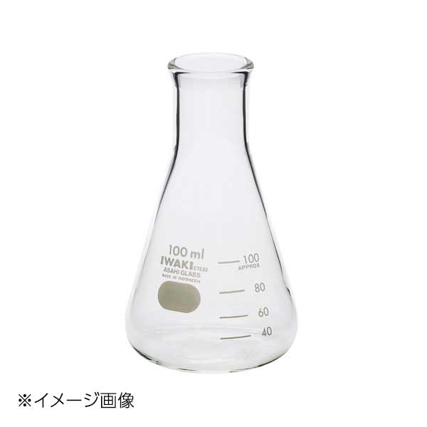 新潟精機 NSK 三角フラスコ 100ml GT-100