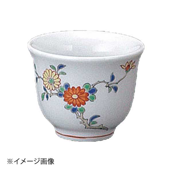 柿右衛門写菊盃(有田焼)