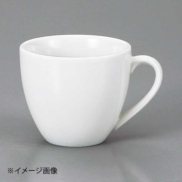 ●サイズ・容量:8.5×7.2cm・210cc●重量:235g●カタログコード:67212-400●サイズ・容量:8.5×7.2cm・210cc●重量:235g●カタログコード:67212-400