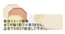 キャンブロ社 【業務用】 キャンブロトラペゾイドトレー1418TR メローアイボリー <ETL012MI>