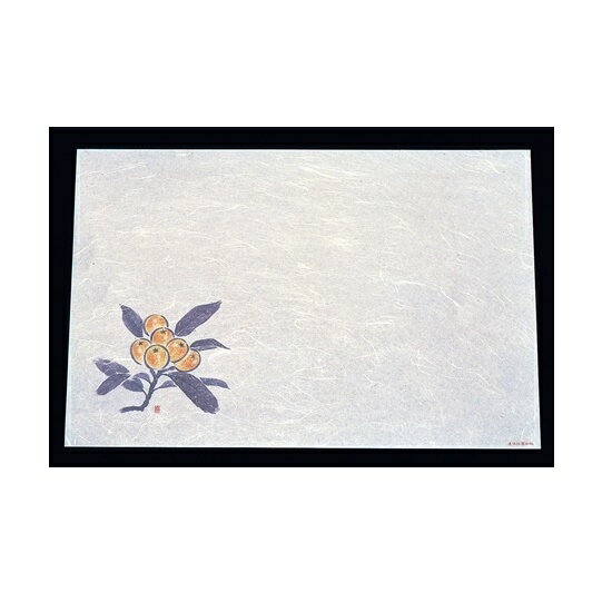 尺三 懐石まっと 抗菌遠赤和紙(100枚入)びわ WS-17