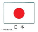 エクスラン万国旗 70×105 日本
