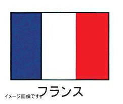 上西産業 エクスラン万国旗 70×105cm フランス